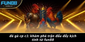 ĐÁ GÀ CP C1