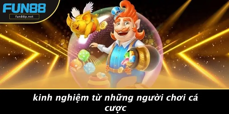 Kinh Nghiệm Từ Những Người Chơi Cá Cược