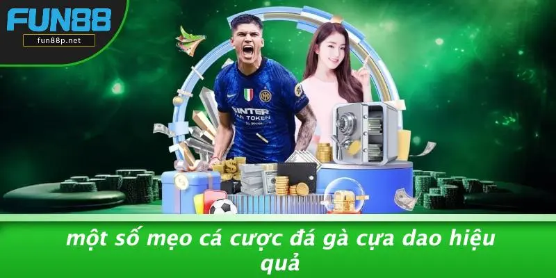 Một Số Mẹo Cá Cược Đá Gà Cựa Dao Hiệu Quả