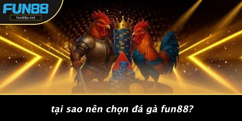 Tại Sao Nên Chọn Đá Gà Fun88?